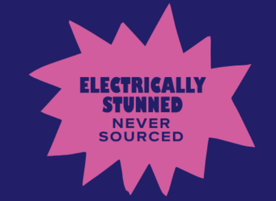 Electrically Stunned